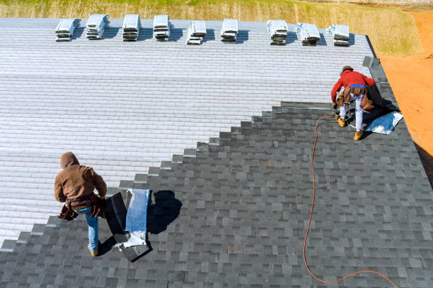 Roof Gutter Cleaning in Pleasant Hill, TX